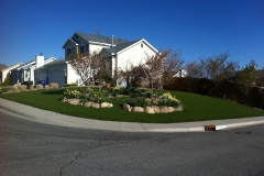 landscape_and_hydroseeded